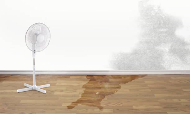 Best Ceiling water damage repair  in Silver Lake, OH