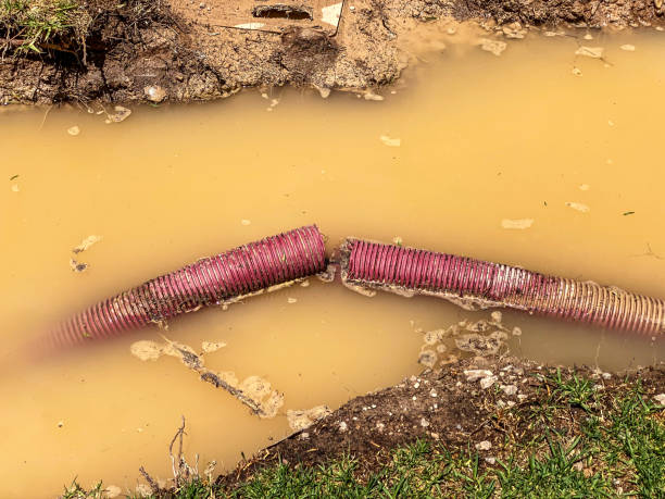 Best Professional water damage repair  in Silver Lake, OH